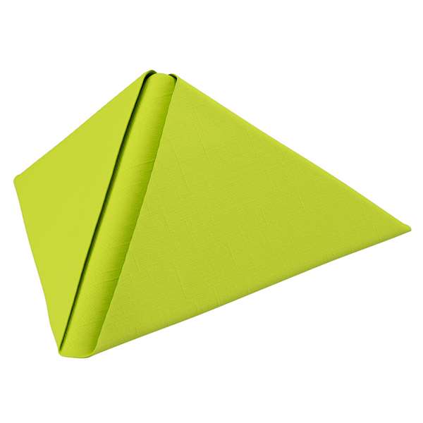 Image de SERVIETTE DUNILIN KIWI 40X40CM X540