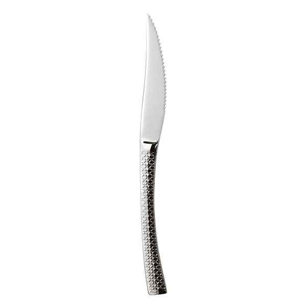 Image de COUTEAU A STEAK HIDRAULIC LONG.220MM