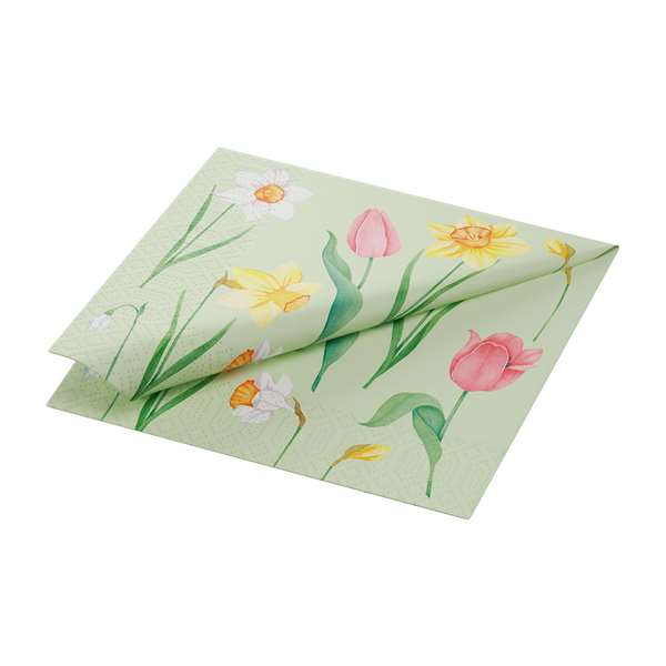 Image de SERVIETTE OUATE SPRING MELODY 3P 33X33CM X500