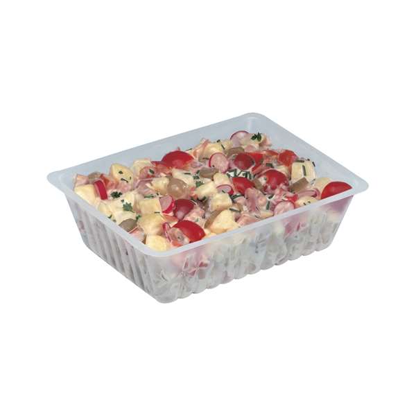 Image de BARQUETTE TRANSPARENTE CAISSIPACK(FTS215X196X67MM)2000MLX250