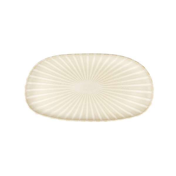 Image de PLAT RECTANGULAIRE EPHYRE (FTS300X155MM)