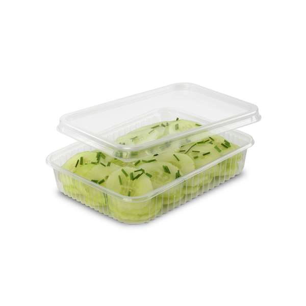 Image de BOITE TRANSPARENTE PRATIPACK (FTS180X133X33MM) 500ML X300