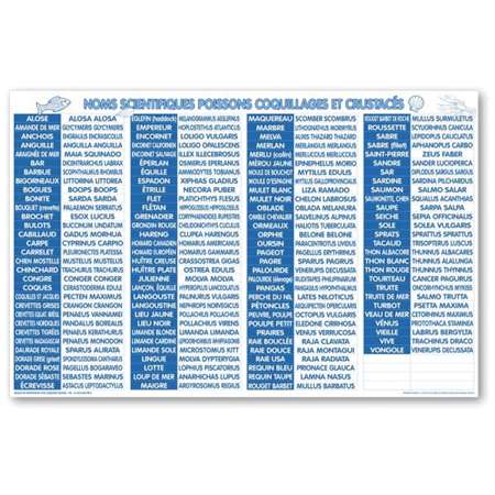 TABLEAU EQUIVALENCE POISSONNERIE FRANCAIS/LATIN (FTS55X45CM)