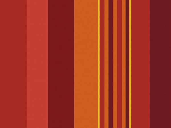 Image de SET DECOR PRUNE 30X40 PAR 500