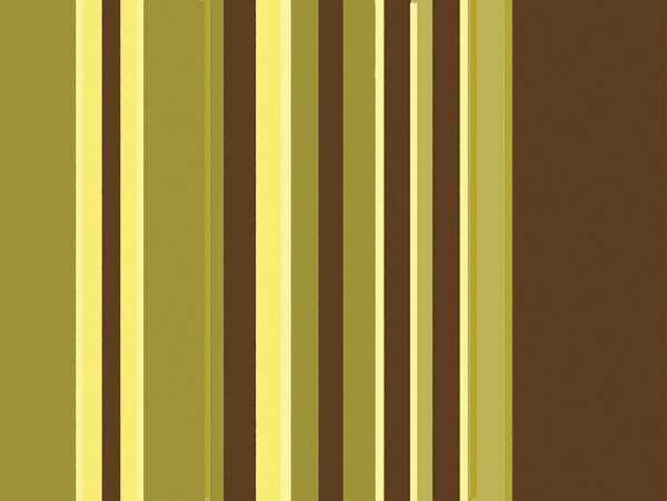 Image de SET DECOR KIWI 30X40 PAR 500