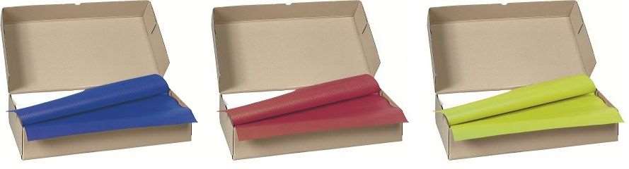 Image de NAPPE PAPIER VIVE 80X120 PAR 250 VERT KIWI