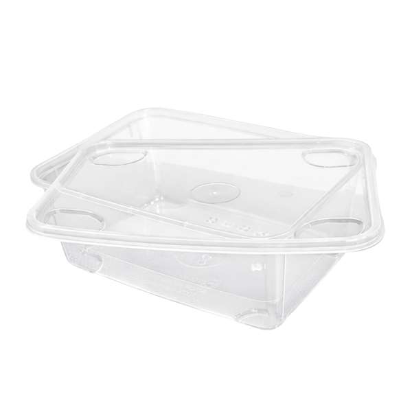 Image de BOITE CHALEUR PP LUXE (FTS131X103X35MM) 250-300ML X500