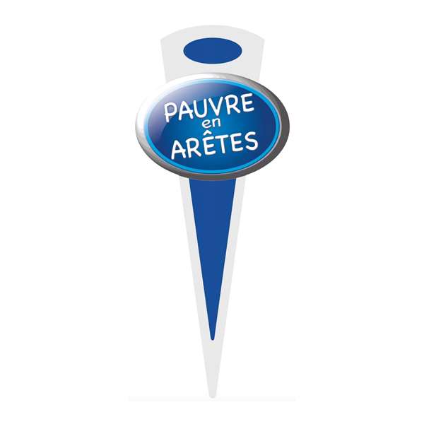 Image de ETIQ MINI FLECHE SANS ARÊTE x10-6x14cm PIQUE INOX-BEQUET