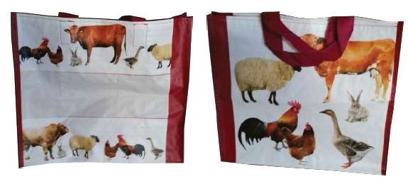 Image de SAC CABAS TISSE BOUCHERIE (FTS400+200X350MM) X100