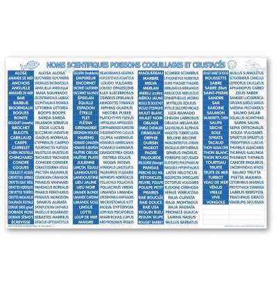 Image de TABL 100x60 EQUIVALENCES POISSONNERIE FRANCAIS/LATIN+FILE