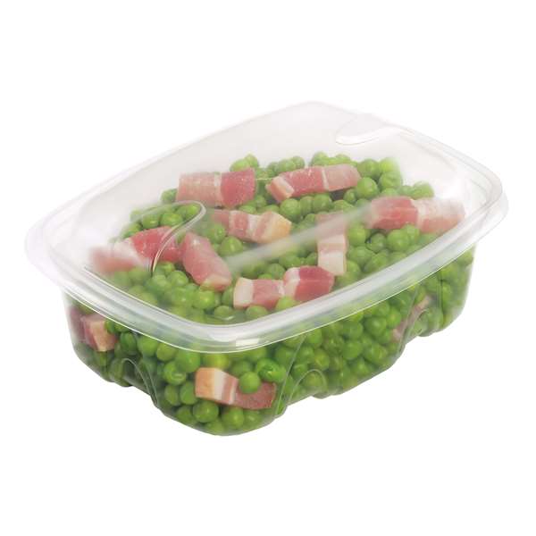 Image de BOITE ARCHIPACK TRANSPARENTE+COUV(FTS140X109X80MM)500MLX480