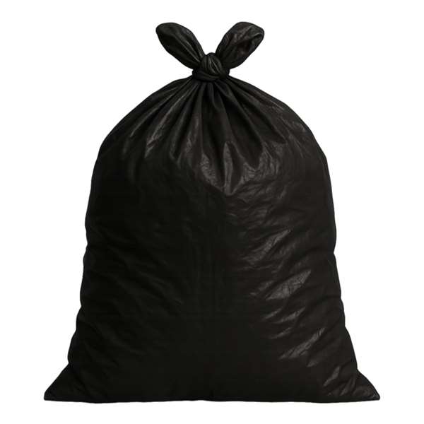 Image de SAC PLASTIQUE BD NOIR 130L 40MµX100