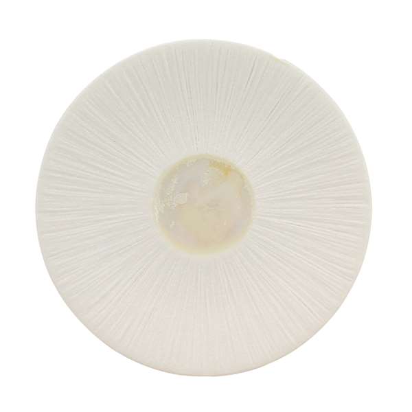 Image de SOUCOUPE URUS BEIGE DIAM.150MM