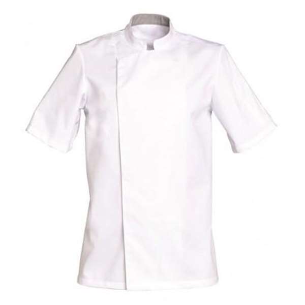 Image de VESTE DE CUISINE COOKIE MANCHES COURTES BLANCHE 100%COTON T5