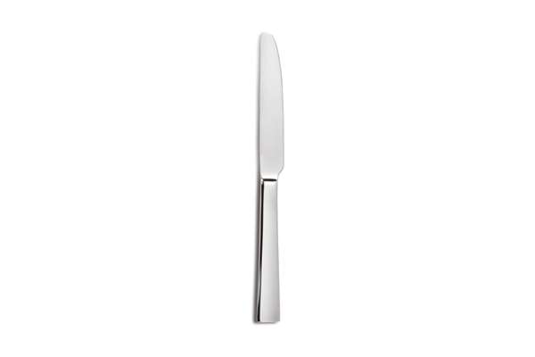 Image de COUTEAU DE TABLE IRIS LONG.243MM