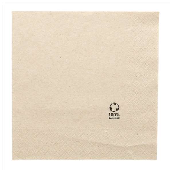Image de SERVIETTE FEEL GREEN OUATE 2P 20X20CM ECOLABEL PAR 100