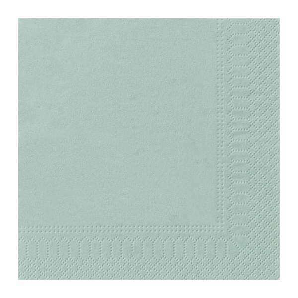 Image de SERVIETTE OUATE SAUGE 2P 20X20CM X1800