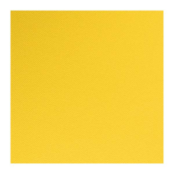 Image de SERVIETTE CELISOFT CITRON 40X40CM X800
