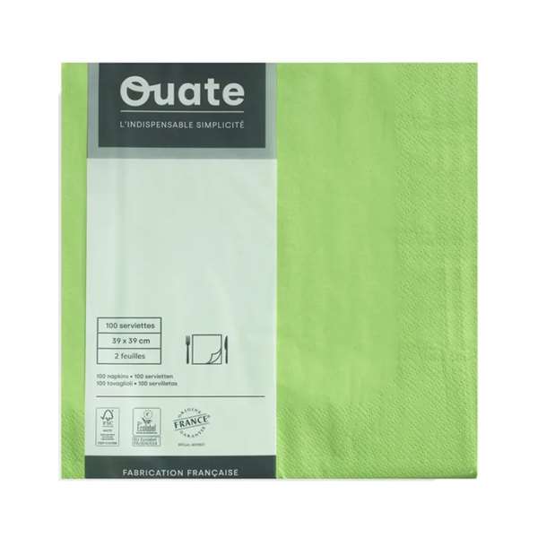 Image de SERVIETTE OUATE PISTACHE 2P 39X39CM X100
