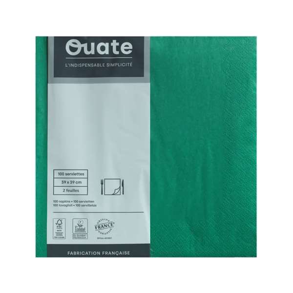 Image de SERVIETTE OUATE VERT LUMIERE 2P 39X39CM X100
